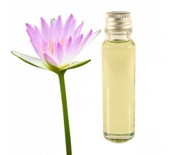 lotus essential oil 25ml