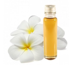 frangipani essential oil 25ml