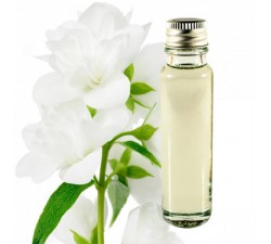 Jasmine essential oil 20ml