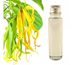 Ylang Ylang essential oil 20ml