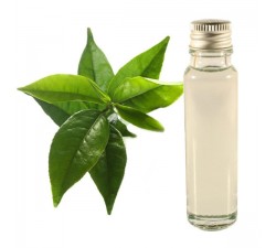 green tea essential oil 25ml