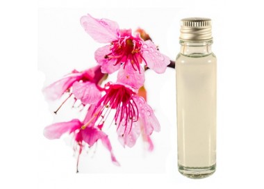 Sakura essential oil 20ml
